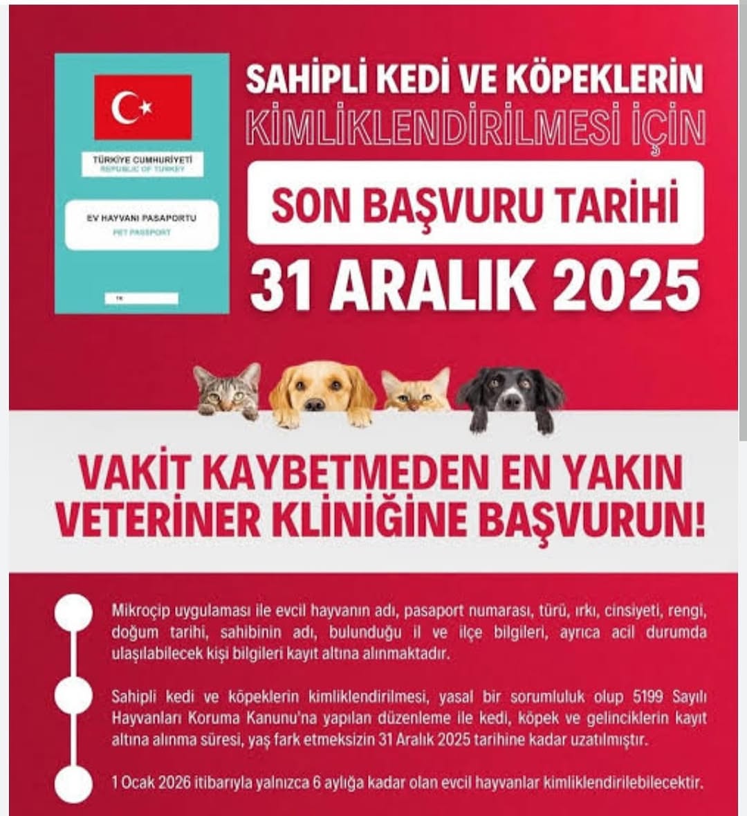 Sahipli Kedi ve Köpek Sahiplerine Önemli Duyuru