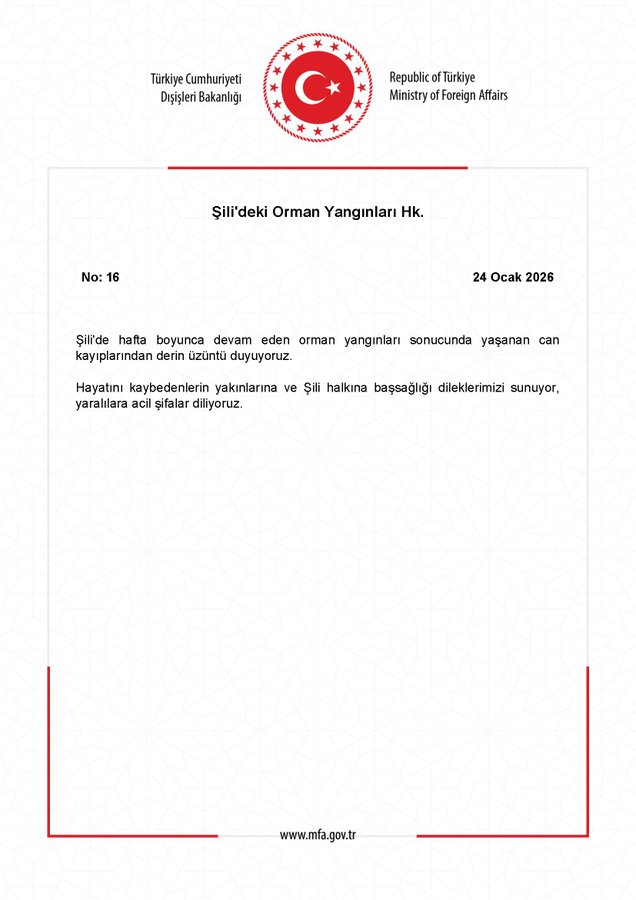 Şili'deki Orman Yangınları