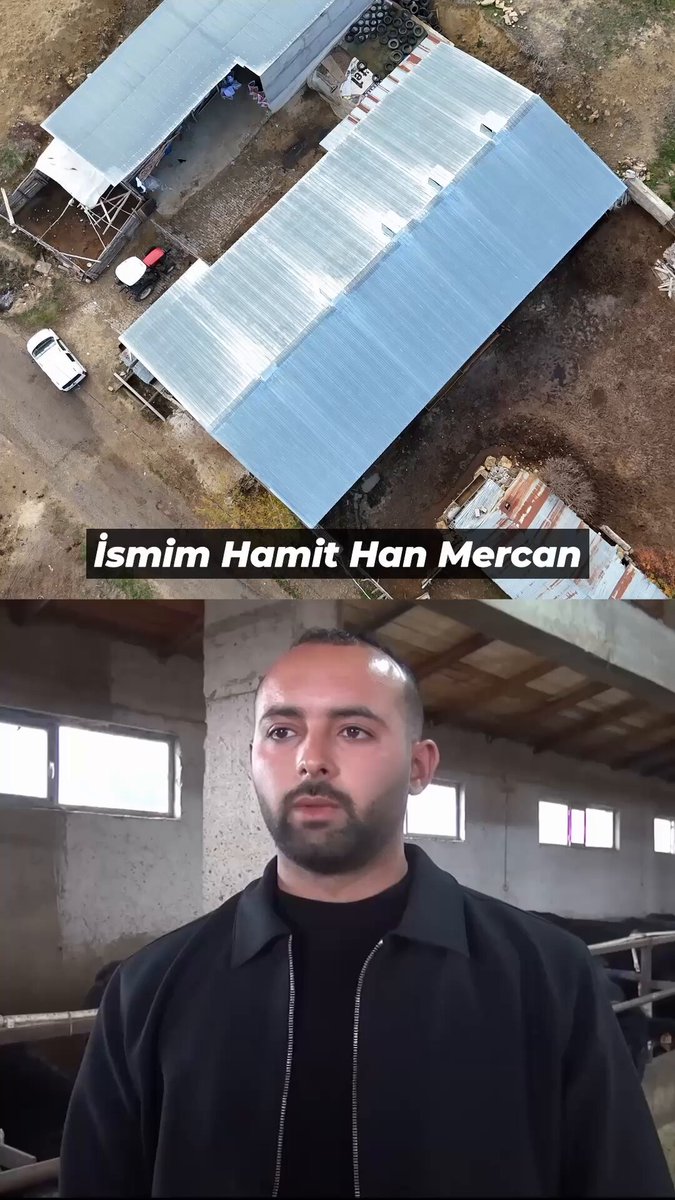 Bereket Projesi ile Hayvancılık Gelişiyor