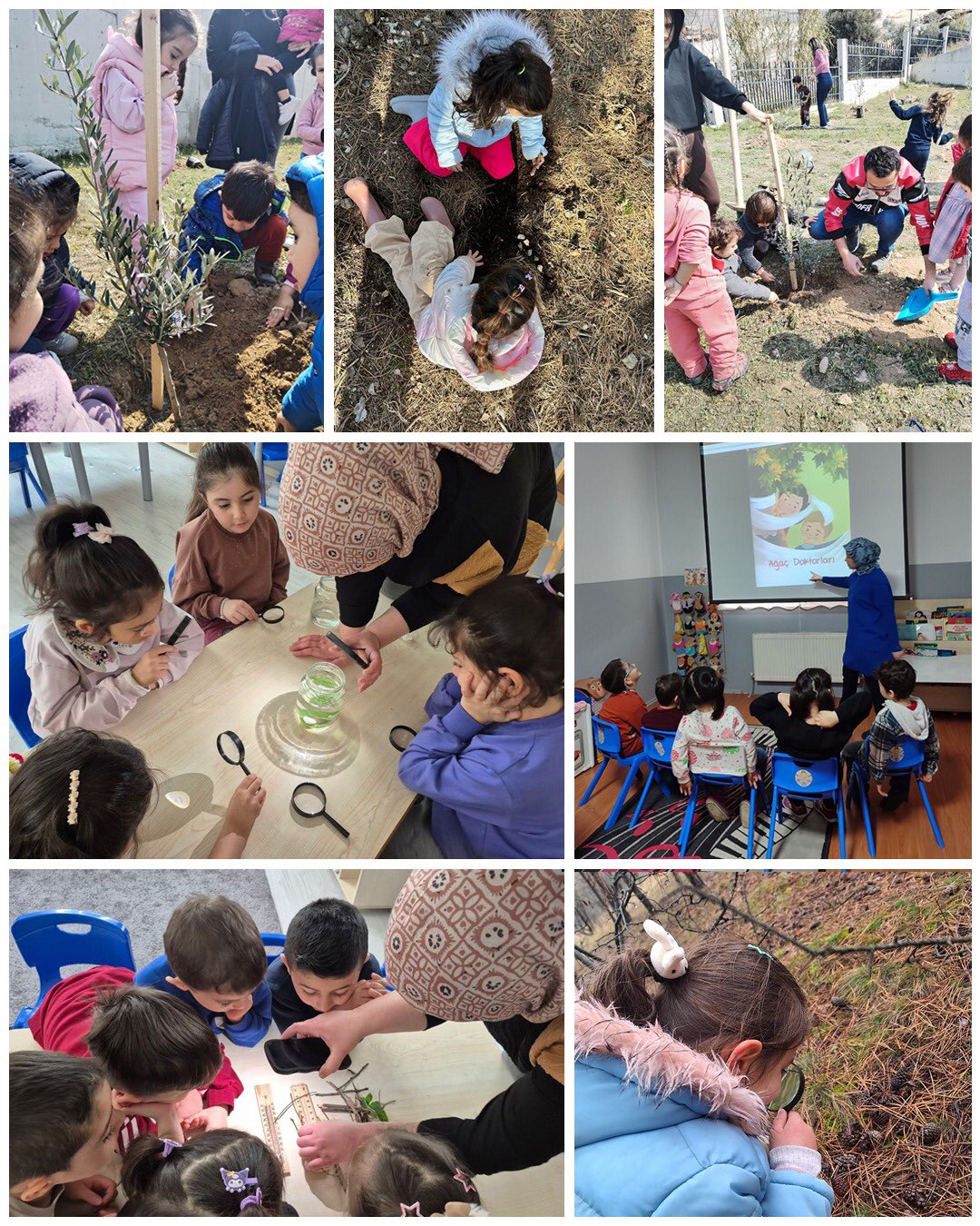 Orman Haftası Etkinlikleri