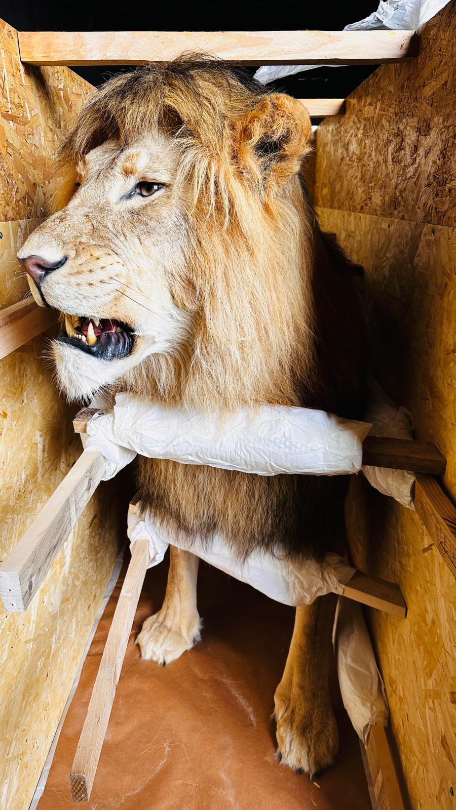 Yaban Hayatı Kaçakçılığına Müdahale