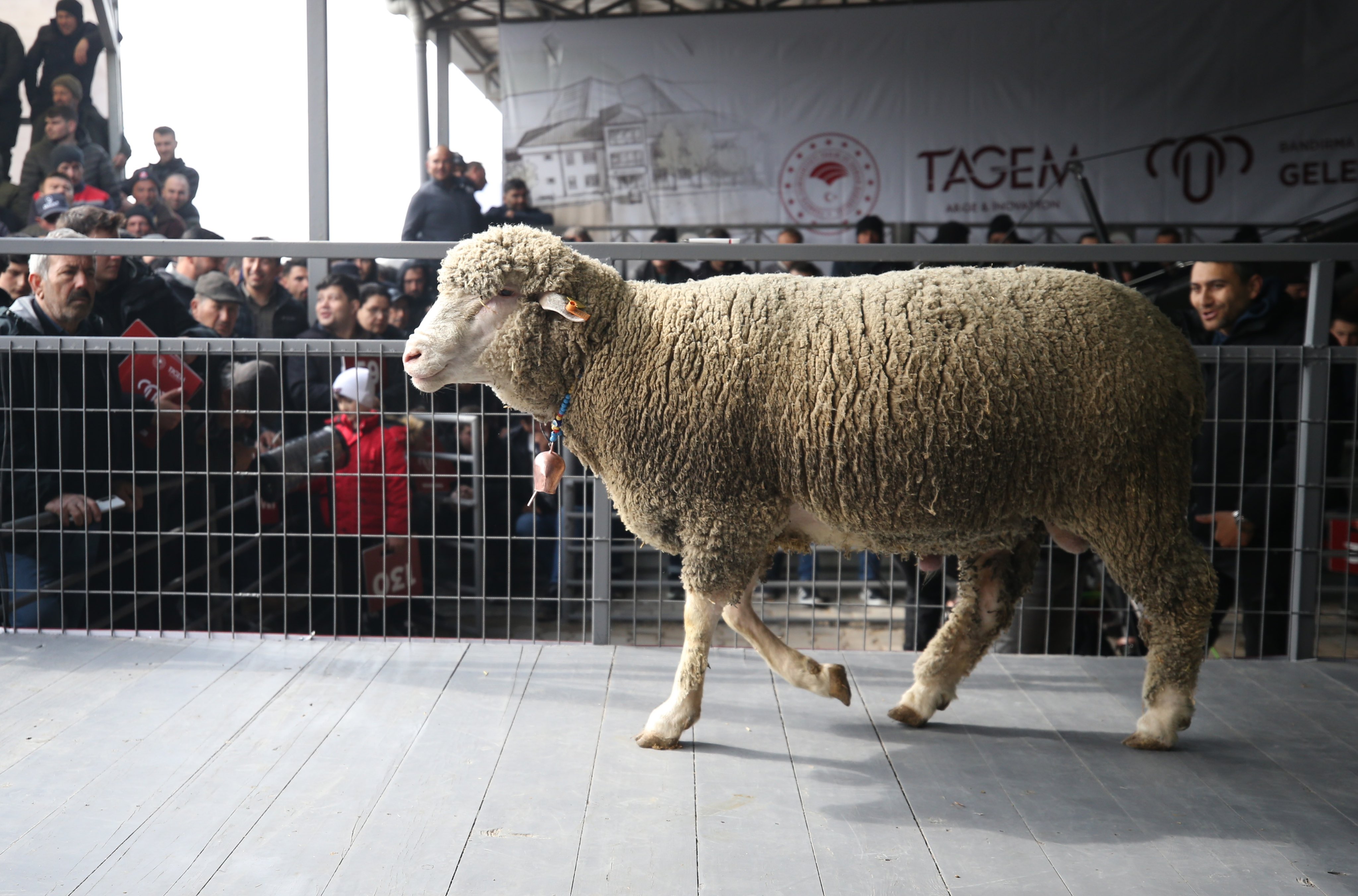 Tarım ve Su Kaynakları Üzerine