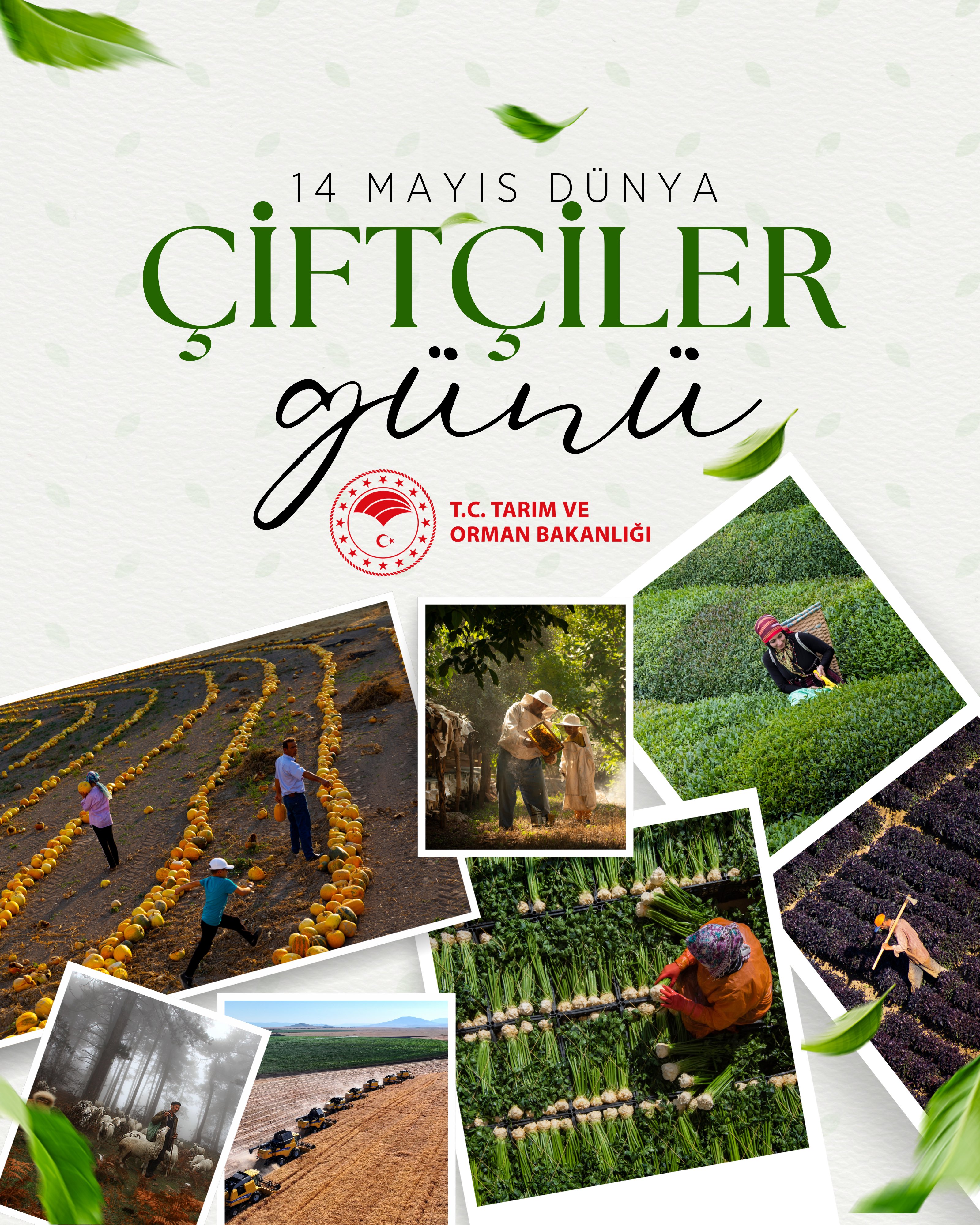 Dünya Çiftçiler Günü kutlanıyor