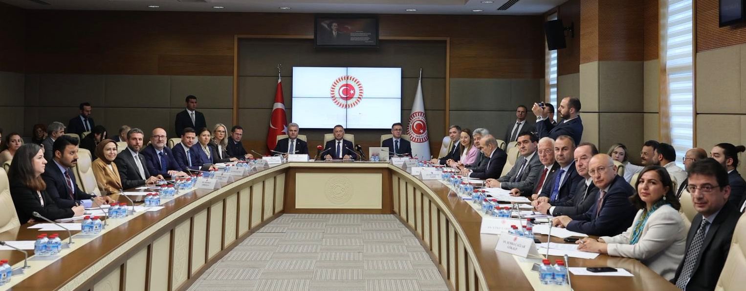 Musa Kulaklıkaya, TBMM Dışişleri Komitesine Sunum Yaptı