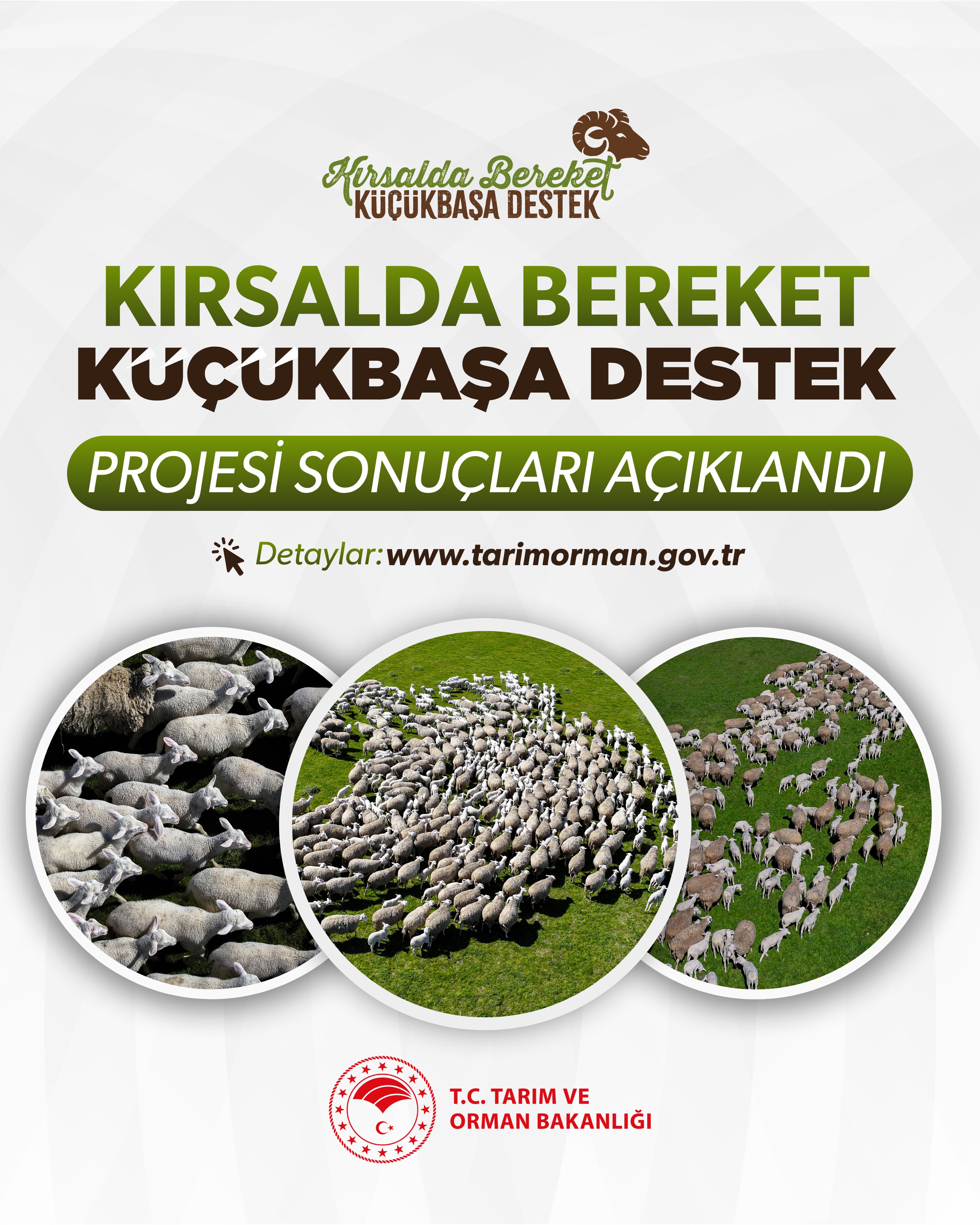 Kırsalda Bereket Küçükbaş Projesi Sonuçları Açıklandı
