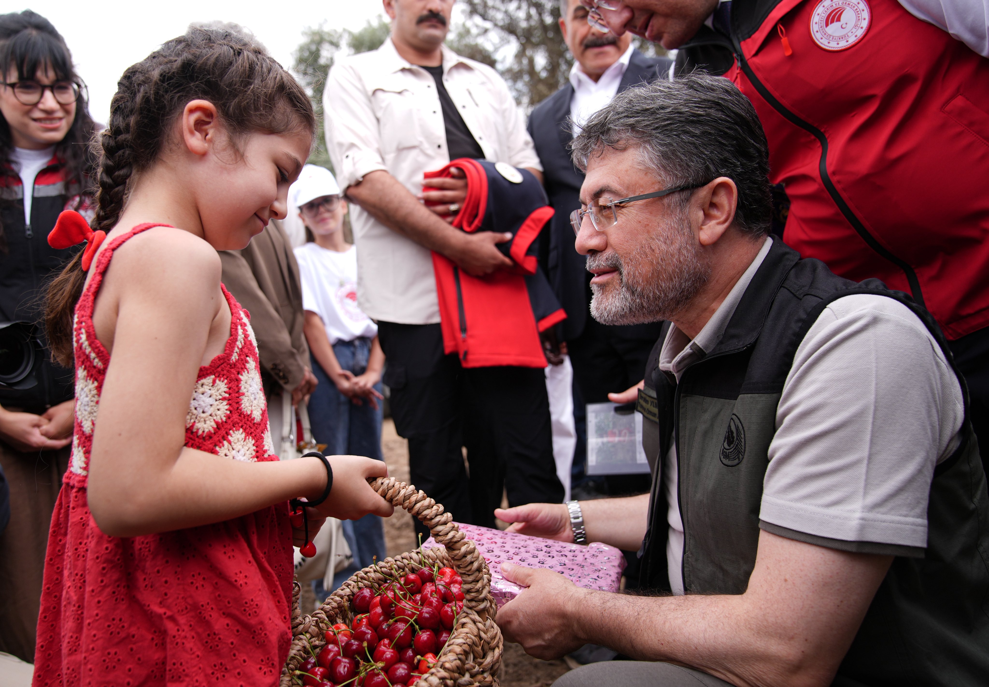 Türkiye, dünya kiraz üretiminde lider konumda