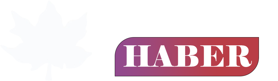 www.tokatkenthaber.com